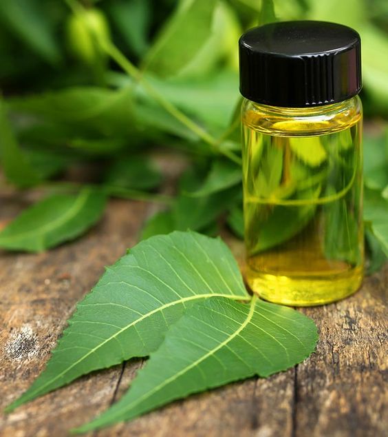 8 biện pháp giảm mụn nhiệt tự nhiên hiệu quả